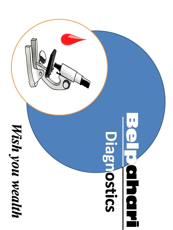 BelPahari Diagnostics